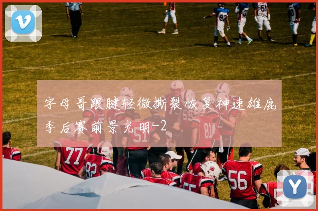 字母哥跟腱轻微撕裂恢复神速雄鹿季后赛前景光明