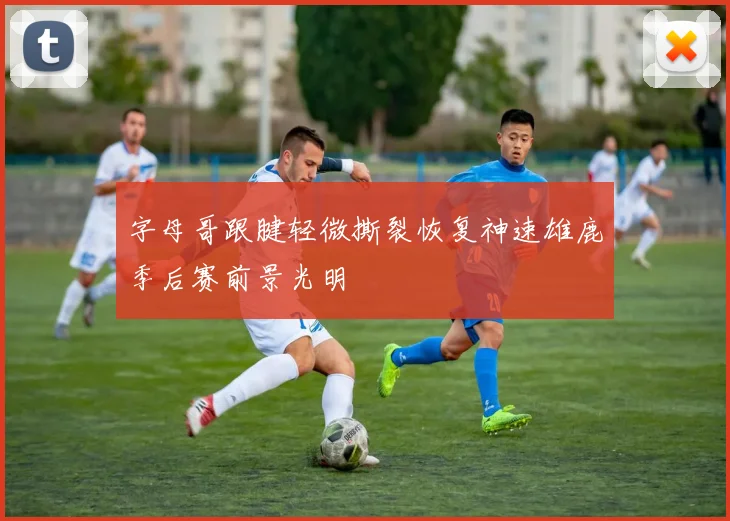 字母哥跟腱轻微撕裂恢复神速雄鹿季后赛前景光明