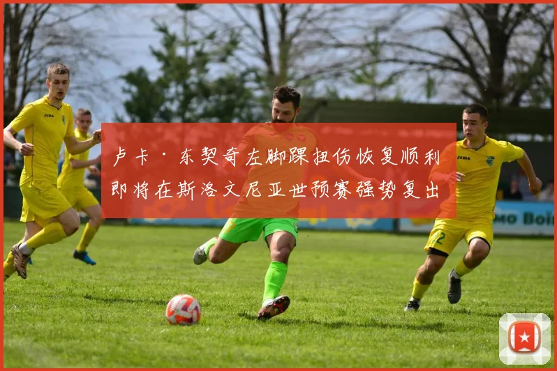 卢卡·东契奇左脚踝扭伤恢复顺利 即将在斯洛文尼亚世预赛强势复出